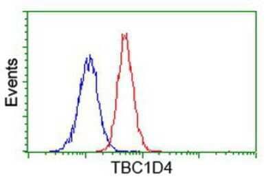 Flow Cytometry: TBC1D4 Antibody (5E6) [NBP2-00597] - Analysis of Jurkat cells, using anti-TBC1D4 antibody, (Red), compared to a nonspecific negative control antibody (Blue).