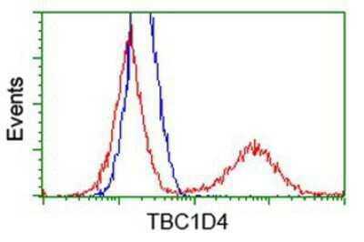 Flow Cytometry: TBC1D4 Antibody (5E6) [NBP2-00597] - HEK293T cells transfected with either overexpression plasmid (Red) or empty vector control plasmid (Blue) were immunostained by anti-TBC1D4 antibody, and then analyzed by flow cytometry.