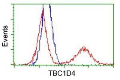 Flow Cytometry: TBC1D4 Antibody (OTI5E6) - Azide and BSA Free [NBP2-74462] - HEK293T cells transfected with either overexpression plasmid (Red) or empty vector control plasmid (Blue) were immunostaining by anti-TBC1D4 antibody, and then analyzed by flow cytometry.