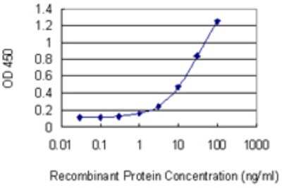 Sandwich ELISA: TC10 Antibody (2C1) [H00023433-M03] - Detection limit for recombinant GST tagged RHOQ is 0.3 ng/ml as a capture antibody.