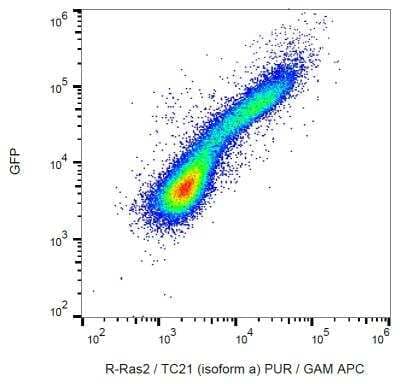 Flow Cytometry: TC21/R-Ras2 Antibody (EM-50) [NBP2-62216] - Intracellular staining of R-Ras2/TC21 in HEK-293 R-Ras2-GFP transfectants using monoclonal antibody EM-50, purified / GAM-APC.