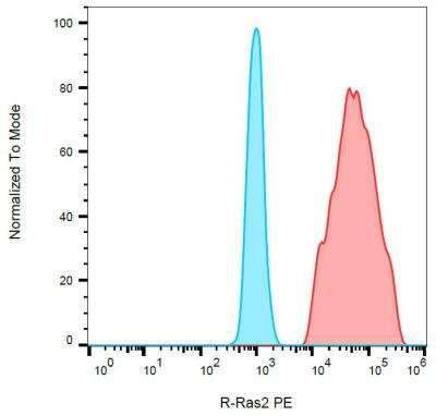 Flow (Intracellular): TC21/R-Ras2 Antibody (EM-50) [NBP2-62216] - Intracellular staining of R-Ras2/TC21 in HEK-293 R-Ras2 transfectants using monoclonal antibody EM-50, PE.