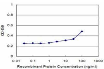 Sandwich ELISA: TCEAL1 Antibody (2B5) [H00009338-M20] - Detection limit for recombinant GST tagged TCEAL1 is approximately 3ng/ml as a capture antibody.