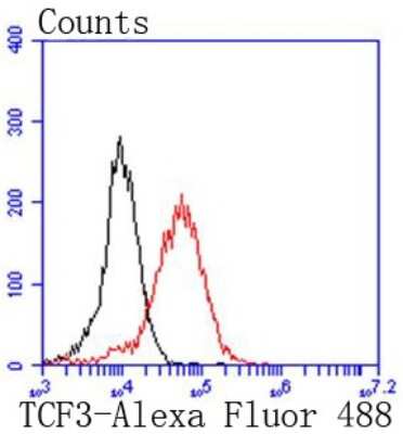 Flow Cytometry: TCF-3/E2A Antibody (SY0258) [NBP2-67437] - Analysis of 293 cells with TCF3 antibody at 1/50 dilution (red) compared with an unlabelled control (cells without incubation with primary antibody; black). Alexa Fluor 488-conjugated goat anti rabbit IgG was used as the secondary antibody.
