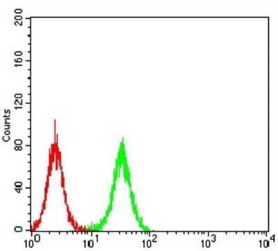 Flow Cytometry: TCF4 Antibody (4D4C4) [NBP2-61896] - Analysis of K562 cells using TCF4 mouse mAb (green) and negative control (red).