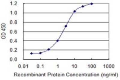 Sandwich ELISA: TCF7/TCF1 Antibody (1B3) [H00006932-M06] - Detection limit for recombinant GST tagged TCF7 is 0.1 ng/ml as a capture antibody.