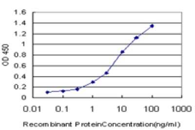 Sandwich ELISA: TCL1A Antibody (1E8) [H00008115-M01] - Detection limit for recombinant GST tagged TCL1A is approximately 0.1ng/ml as a capture antibody.