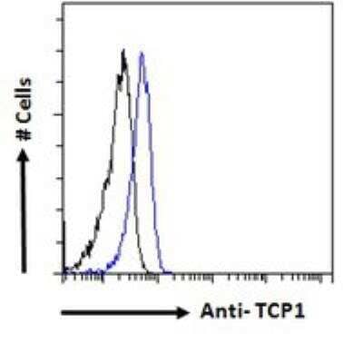 Flow Cytometry: TCP1 alpha Antibody [NB100-1400] - Analysis of paraformaldehyde fixed HeLa cells (blue line), permeabilized with 0.5% Triton. Primary incubation 1hr (10ug/ml) followed by Alexa Fluor 488 secondary antibody (1ug/ml). IgG control: Unimmunized goat IgG (black line) followed by Alexa Fluor 488 secondary antibody.