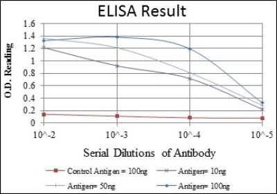 ELISA: TCP1-beta Antibody (5B5F5) [NBP2-37561] - Red: Control Antigen (100ng); Purple: Antigen (10ng); Green: Antigen (50ng); Blue: Antigen (100ng);