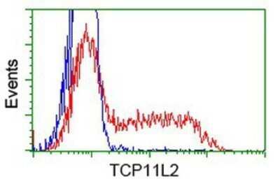 Flow Cytometry: TCP11L2 Antibody (OTI2A10) - Azide and BSA Free [NBP2-74477] - HEK293T cells transfected with either overexpression plasmid (Red) or empty vector control plasmid (Blue) were immunostaining by anti-TCP11L2 antibody, and then analyzed by flow cytometry.
