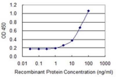 Sandwich ELISA: TCR alpha Antibody (4H8) [H00006955-M03] - Detection limit for recombinant GST tagged TRA@ is 1 ng/ml as a capture antibody.