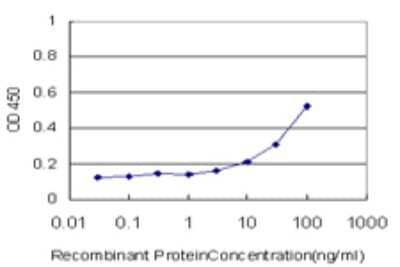 Sandwich ELISA: TDO2 Antibody (1C8) [H00006999-M01] - Detection limit for recombinant GST tagged TDO2 is approximately 10ng/ml as a capture antibody.