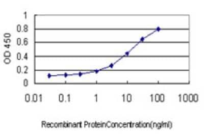 Sandwich ELISA: TDP1 Antibody (2A10-G2) [H00055775-M01] - Detection limit for recombinant GST tagged TDP1 is approximately 0.1ng/ml as a capture antibody.