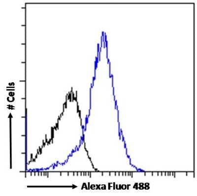 Flow Cytometry: TET2 Antibody [NBP2-27465] - Flow cytometric analysis of paraformaldehyde fixed A431 cells (blue line), permeabilized with 0.5% Triton. Primary incubation 1hr (10ug/ml) followed by Alexa Fluor 488 secondary antibody (1ug/ml). IgG control: Unimmunized goat IgG (black line) followed by Alexa Fluor 488 secondary antibody.