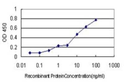 Sandwich ELISA: TEX13A Antibody (3B10) [H00056157-M01] - Detection limit for recombinant GST tagged TEX13A is approximately 0.3ng/ml as a capture antibody.