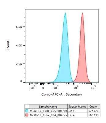 Flow Cytometry: TEX2 Antibody [NBP1-83156] - Analysis of TEX2 in Jurkat cells using anti-TEX2 antibody at a dilution of 1:100 (3ug/ml). Image courtesy of Rebecca Leylek at Stanford University.