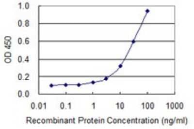 Sandwich ELISA: TEX28 Antibody (1A8) [H00001527-M05] - Detection limit for recombinant GST tagged TEX28 is 0.3 ng/ml as a capture antibody.