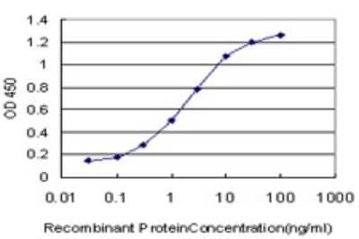 Sandwich ELISA: TFAP4 Antibody (6B1) [H00007023-M01] - Detection limit for recombinant GST tagged TFAP4 is approximately 0.1ng/ml as a capture antibody.