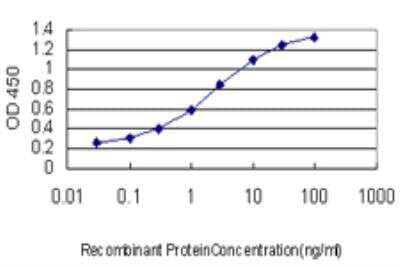 ELISA: TFAP4 Antibody (7A10) [H00007023-M03] - Detection limit for recombinant GST tagged TFAP4 is approximately 0.1ng/ml as a capture antibody.