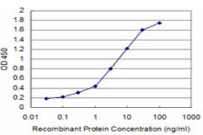 Sandwich ELISA: TFII-I Antibody (2D6) [H00002969-M02] - Detection limit for recombinant GST tagged GTF2I is approximately 0.1ng/ml as a capture antibody.