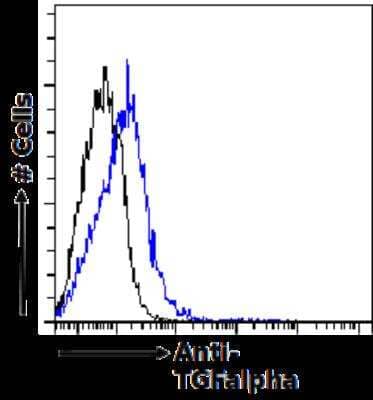 Flow Cytometry: TGF-alpha Antibody (tAb2) [NBP2-81082] - Flow-cytometry using the  [NBP2-81082]. Human peripheral blood leukocytes were fixed using 2% PFA, permeabilised using 0.5% Triton and stained with unimmunized rabbit IgG antibody (isotype control, black line) or the rabbit IgG-chimeric version of tAb2 (NBP2-81082, blue line) at a dilution of 1:100 for 1h at RT. After washing, bound antibody was detected using a goat anti-rabbit IgG AlexaFluor 488 antibody at a dilution of 1:1000 and cells analyzed using a FACSCanto flow-cytometer.
