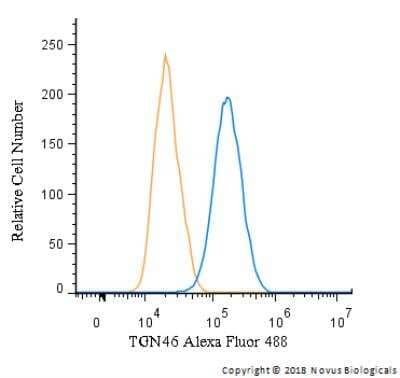 Flow (Intracellular): TGN46 Antibody [Alexa Fluor® 488] [NBP1-49643AF488] - TGN46 Antibody [Alexa Fluor 488] [NBP1-49643AF488] - An intracellular stain was performed on HepG2 cells with TGN46 Antibody NBP1-49643AF488 (Blue) and a matched isotype control (Orange). Cells were fixed with 4% PFA and then permeabilized with 0.1% saponin. Cells were incubated in an antibody dilution of 10 ug/mL for 30 minutes at room temperature. Both antibodies were conjugated to Alexa Fluor 488.