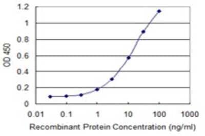 Sandwich ELISA: THRSP Antibody (2F8) [H00007069-M01] - Detection limit for recombinant GST tagged THRSP is 0.3 ng/ml as a capture antibody.