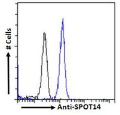 Flow Cytometry: THRSP Antibody [NBP2-62001] - Paraformaldehyde fixed A431 cells (blue line), permeabilized with 0.5% Triton. Primary incubation 1hr (10 ug/ml) followed by Alexa Fluor 488 secondary antibody (2 ug/ml). IgG control: Unimmunized goat IgG (black line) followed by Alexa Fluor 488 secondary antibody.