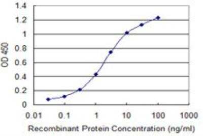 ELISA: TIAM2 Antibody (1C10) [H00026230-M03] - Detection limit for recombinant GST tagged TIAM2 is 0.03 ng/ml as a capture antibody.