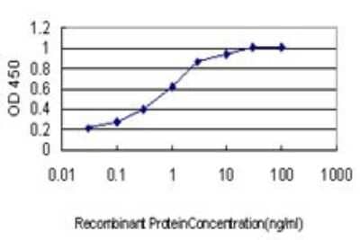 Sandwich ELISA: TIAM2 Antibody (3C1) [H00026230-M01] - Detection limit for recombinant GST tagged TIAM2 is approximately 0.03ng/ml as a capture antibody.