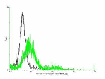 Flow Cytometry: TIAM2 Antibody [H00026230-B01P] - Analysis of negative control 293 cells (Black) and TIAM2 expressing 293 cells (Green) using TIAM2 purified mouse polyclonal antibody.