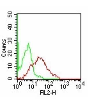 Flow Cytometry: TIM-3 Antibody (F38-2E2) - Azide Free [NBP2-27221] - Analysis using the PE conjugate of NBP2-27220. Staining of Con A stimulated human PBMCs with PE-conjugated human TIM-3 antibody (Red) and mouse IgG1 isotype control (Green)was used for this test (cells were not fixed for testing).