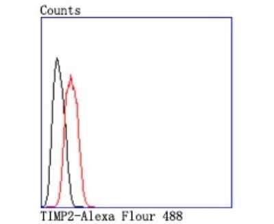 Flow Cytometry: TIMP-2 Antibody (JM87-10) [NBP2-67204] - Analysis of Hela cells with TIMP2 antibody at 1/50 dilution (red) compared with an unlabelled control (cells without incubation with primary antibody; black). Alexa Fluor 488-conjugated goat anti rabbit IgG was used as the secondary antibody.