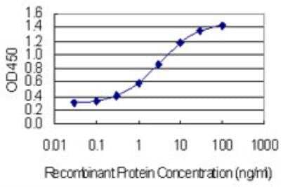 ELISA: TJAP1 Antibody (2E5) [H00093643-M01-100ug] - Detection limit for recombinant GST tagged TJAP1 is 0.1 ng/ml as a capture antibody.