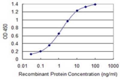 Sandwich ELISA: TKTL2 Antibody (5E2) [H00084076-M01] - Detection limit for recombinant GST tagged TKTL2 is 0.03 ng/ml as a capture antibody.