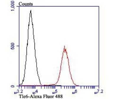 Flow Cytometry: TLE6 Antibody [NBP2-75684] - Analysis of Daudi cells with Tle6 antibody at 1/100 dilution (red) compared with an unlabelled control (cells without incubation with primary antibody; black). Alexa Fluor 488-conjugated goat anti-rabbit IgG was used as the secondary antibody.