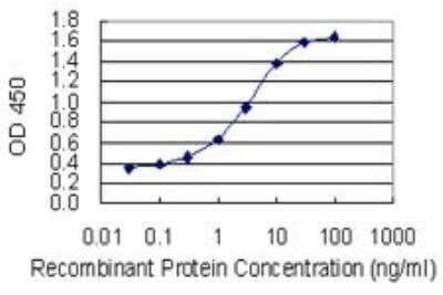 ELISA: TLK1 Antibody (4B3) [H00009874-M01] - Detection limit for recombinant GST tagged TLK1 is 0.03 ng/ml as a capture antibody.