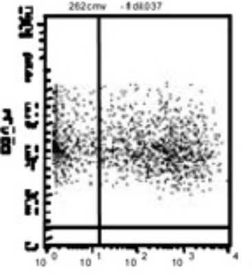 Flow Cytometry: TLR10 Antibody (25F9) [Alexa Fluor (R) 488] [DDX0490A488] - Staining of TLR10-transfected COP5 cells with 25F9.