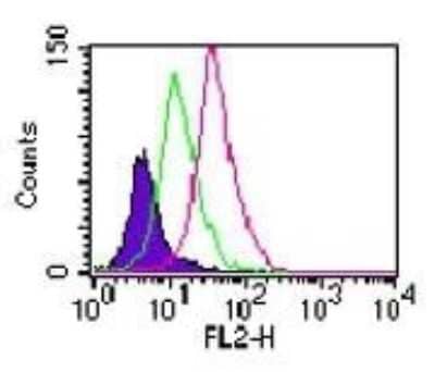 Flow Cytometry: TLR11 Antibody [NB100-56742] - Intracellular flow analysis of TLR11 in Balb/c mouse splenocyte at 0.5 ug/10^6 cells.  Shaded histogram shows cells without ab; green shows rabbit IgG isotype control; red shows anti-TLR11 ab. Goat anti-rabbit PE was used as secondary ab.