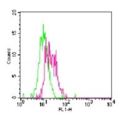 Flow Cytometry: TLR11 Antibody [NB100-56742] - Analysis using the FITC conjugate of NB100-56742. Staining of TLR11 in Balb/c mouse splenocytes using TLR11 antibody at 1 ug/10^6 cells. (Green represents rabbit IgG isotype control. Red represents TLR11 antibody).