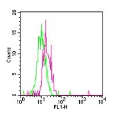 Flow Cytometry: TLR12 Antibody [NBP2-24833] - Analysis using the FITC conjugate of NBP2-24833. Staining of TLR12 in Balb/c mouse splenocytes using this antibody at 1 ug/10^6 cells. Green represents rabbit IgG isotype control was used for this test.