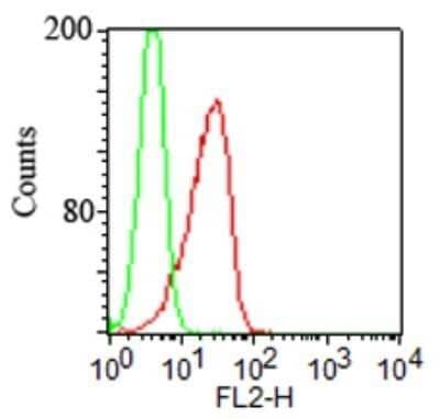 Flow (Cell Surface): TLR2 Antibody (TL2.1) - Azide Free [NB100-56726] - Analysis using the PE conjugate of NB100-56726. Staining of TLR2 on stable transfected cell line using this antibody at 1 ug/10^6 cells. Green represents isotype control; red represents anti-TLR2 antibody.