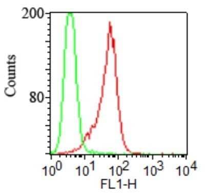 Flow (Cell Surface): TLR2 Antibody (TL2.1) - Azide Free [NB100-56726] - Analysis using the FITC conjugate of NB100-56726. Surface staining of stable HEK293/hTLR2 cells (IML-202, red) and vector control cells (IML-200, green) using TLR2 antibody at 1 ug/10^6 cells.