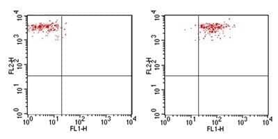 Flow Cytometry: TLR4 Antibody (76B357.1) - Azide Free [NBP2-27149] - Analysis using the FITC conjugate of NBP2-27149. TLR4 expression on monocytes from human peripheral blood: PBMC were stained, in a 2 color flow test, with CD14 PE and 1 ug of either isotype control (Left, ) or TLR4-FITC (Right, this antibody. PPI negative, CD14+ cells were gated for analysis.