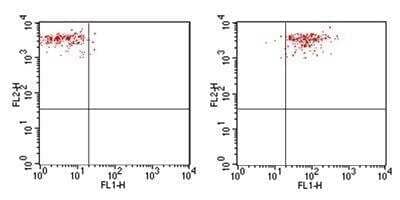 Flow Cytometry: TLR4 Antibody (76B357.1) [FITC] [NBP2-27149F] -  Analysis using the FITC conjugate of NBP2-27149. TLR4 expression on monocytes from human peripheral blood: PBMC were stained, in a 2 color flow test, with CD14 PE and 1 ug of either isotype control (Left, ) or TLR4-FITC (Right, this antibody. PPI negative, CD14+ cells were gated for analysis.