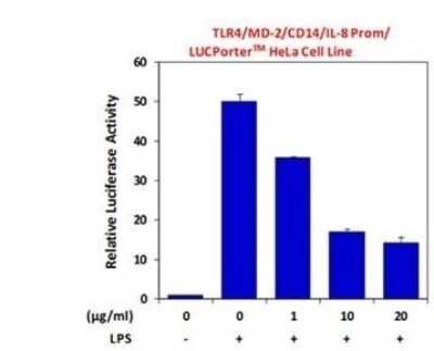 Flow (Cell Surface): TLR4 Antibody (HTA125) - Azide Free [NB100-56727] - Validation of the neutralizing effect of this antibody on TLR4 activity. The TLR4/MD-2/CD14/IL-8 Prom/LUCPorter HeLa cells were plated in 96-well white plates at 1 x 10^5 cells/well. After 16 h, cells were preincubated with different amounts of this antibody for 1 h and then stimulated with 10 ng/ml LPS for 6 h. Luciferase activity was then directly analyzed using the one-step luciferase reporter assay reagent.  Data Summary: It inhibited LPS-mediated TLR4 activity in the TLR4/MD-2/CD14/IL-8 Prom/LUCPorter cell line.