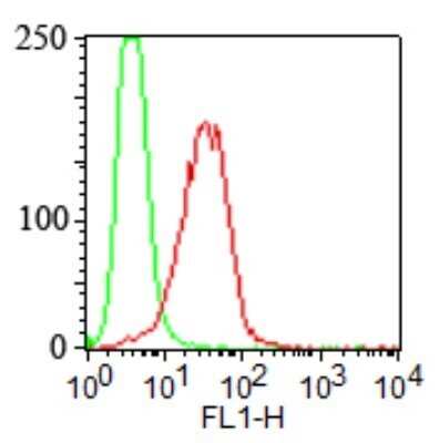 Flow Cytometry: TLR4 Antibody (HTA125) - Azide Free [NB100-56727] - Analysis using Azide/BSA FREE version of NB100-56727. Cell surface analysis of TLR4 in stable HEK293/hTLR4 cells using this antibody. Secondary antibody goat anti-mouse IgG-PE at 0.25ug/10^6 cells. Both stable HEK293/hTLR4 and HEK293/Vector cell lines were equally stained.