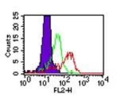 Flow Cytometry: TLR4 Antibody (HTA125) [PE] [NB100-56062] - Intracellular flow analysis of TLR4 in human PBMCs using NB100-56062 at 0.5 ug/10^6 cells.  The shaded histogram represents cells without anti-TLR4 antibody; green represents the isotype control; red represents Nb100-56062, anti-TLR4.