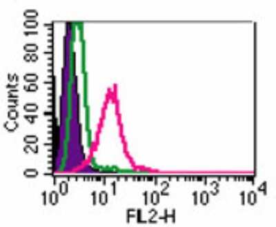 Flow Cytometry: TLR4 Antibody (HTA125) [PE] [NB100-56062] - Cell surface analysis of TLR4 on ThP1 cells using TLR4 antibody at 2 ug/10^6 cells. The shaded histogram represents ThP1 cells only, green represents isotype control antibody, and red represents TLR4 antibody.