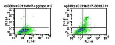 Flow Cytometry: TLR5 Antibody (19D759.2) [PE] [NBP2-24783] - Analyis of CD14-/CD83+/TLR5+ diffferentiated myeloid dendritic cells (mDCs). PBMCs were stimulated 5 days with GM-CSF+IL4 prior to the staining. The cells were stained for surface markers CD14 and CD83 FITC, and TLR5 PE. CD14- cells were gated and stained with PE-conjugated isotype control (mouse IgG2a), and FITC-conjugated CD83 (left). CD14- cells were gated and stained with 1 ug PE-conjugated TLR5 , and FITC-conjugated CD83 (right).